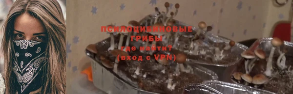 эйфоретик Нефтекумск