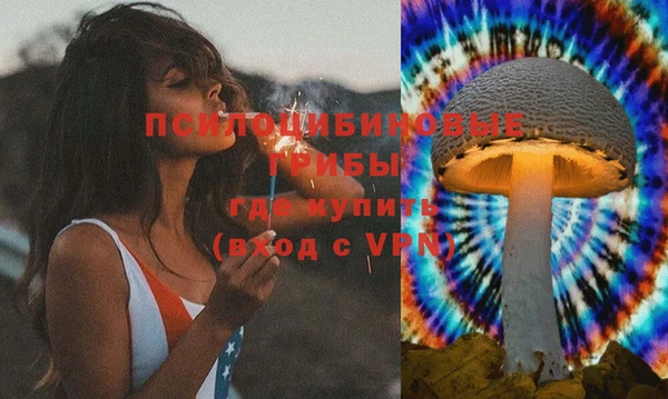 дмт Тольятти